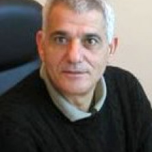 david