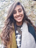 sapir katie